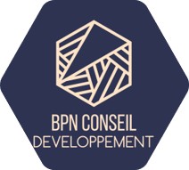 logo-BPN-conseil-developpement